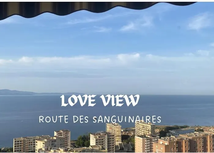 Splendide Vue Dans Ce ! Ajaccio (Corsica)